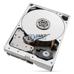 DISCO DURO SEAGATE SATA3 10TB IRONWOLF PRO 7200 256MB ST10000NT001