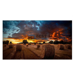 PANTALLA SAMSUNG 46" LH46VMBUBGBXZB IPS FHD LFD