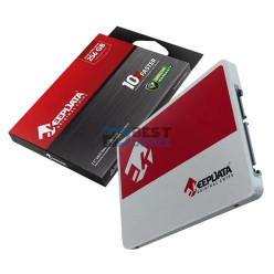 SSD KEEPDATA 256GB 2.5 SATA3 KDS256G-L21